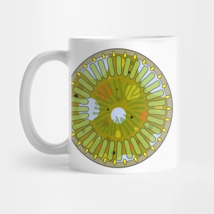 Diatom - Cyclotella meneghiniana (artwork) Mug